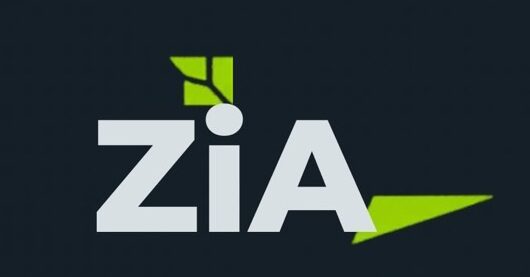 株式会社ZiA